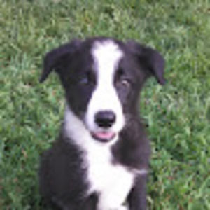 Meet your Posher, Raymond